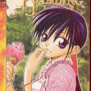 FAERIES LANDING VOL 05 GN Clearance