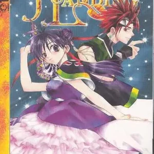 FAERIES LANDING VOL 09 GN Limited Offer