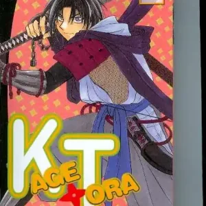 Buy Direct KAGETORA VOL 09 GN