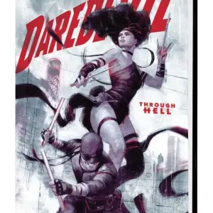 DAREDEVIL BY CHIP ZDARSKY HC VOL 02 TO HEAVEN THROUGH HELL Buy Online