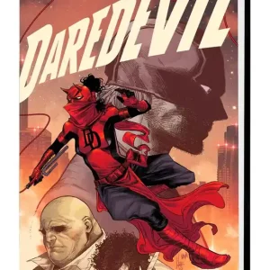 DAREDEVIL BY CHIP ZDARSKY VOL 03 TO HEAVEN THROUGH HELL Worldwide Shipping