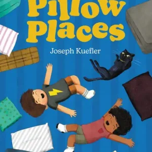 Pillow Places Today Only
