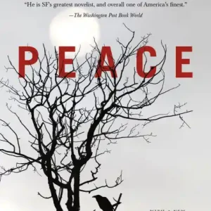Brand New Peace