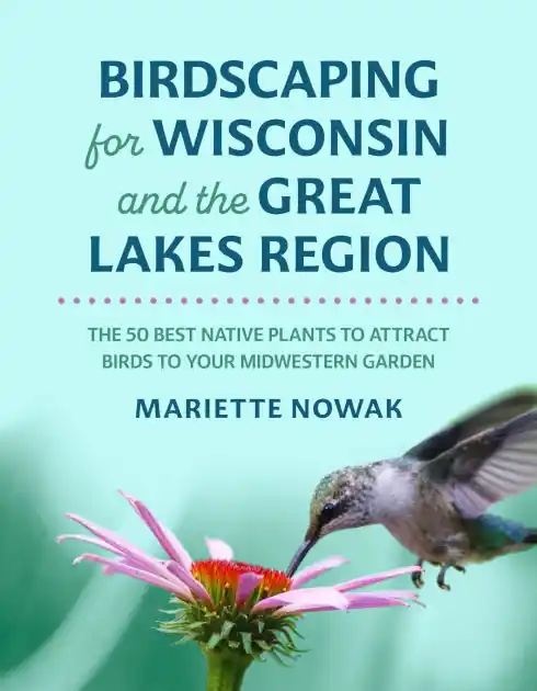 Limited Offer Birdscaping for Wisconsin and the Great Lakes Region: The 50 Best Native Plants to Attract Birds to Your Midwestern Garden