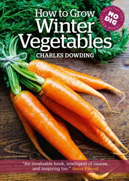 How to Grow Winter Vegetables Get Yours