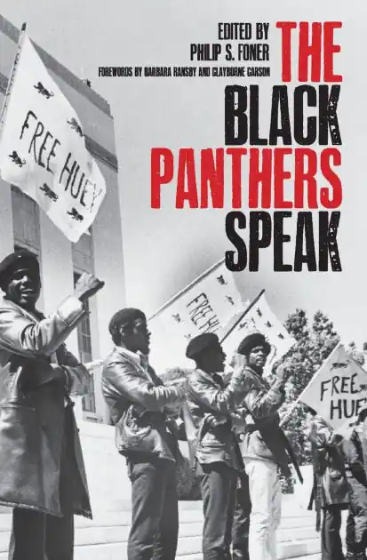 Black Panthers Speak Secure Checkout