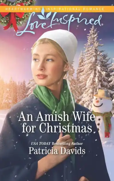 An Amish Wife for Christmas: A Fresh-Start Family Romance Best Price