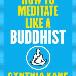 One Day Deal How to Meditate Like a Buddhist