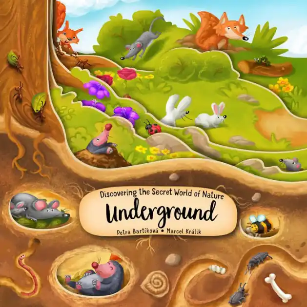Discovering the Secret World of Nature Underground Buy Direct