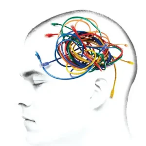Wired for Intimacy: How Pornography Hijacks the Male Brain Exclusive