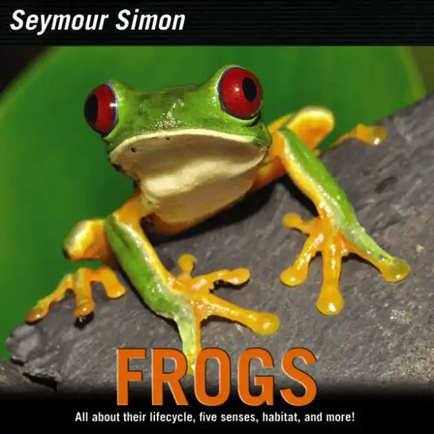 Frogs Holiday Sale