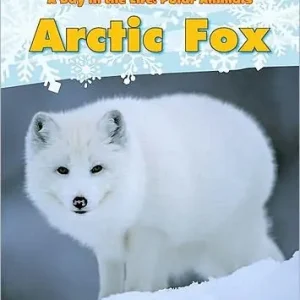 Arctic Fox Exclusive Offer