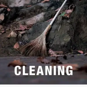 Viral Cleaning
