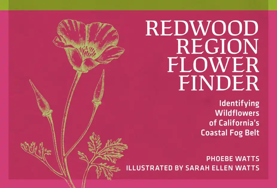 Redwood Region Flower Finder: Identifying Wildflowers of California's Coastal Fog Belt Worldwide Shipping
