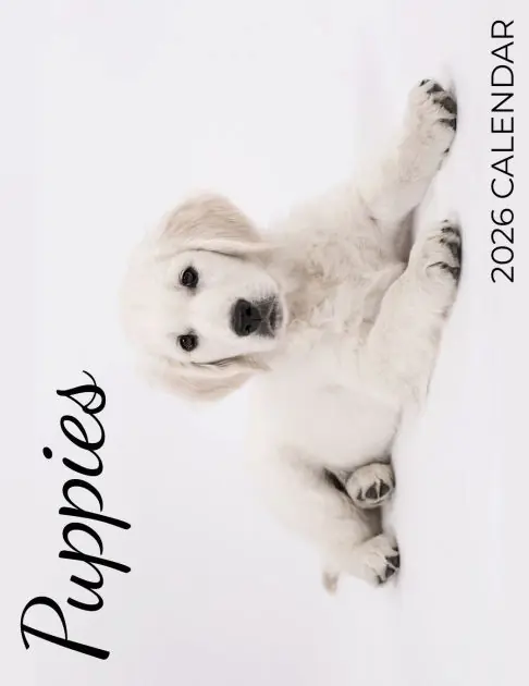 Puppies 2026 Calendar Markdown