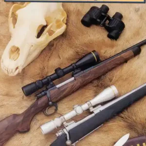American Hunting Rifles: Their Application in the Field for Practical Shooting New Arrival
