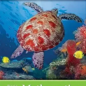 Basic College Mathematics Free Shipping